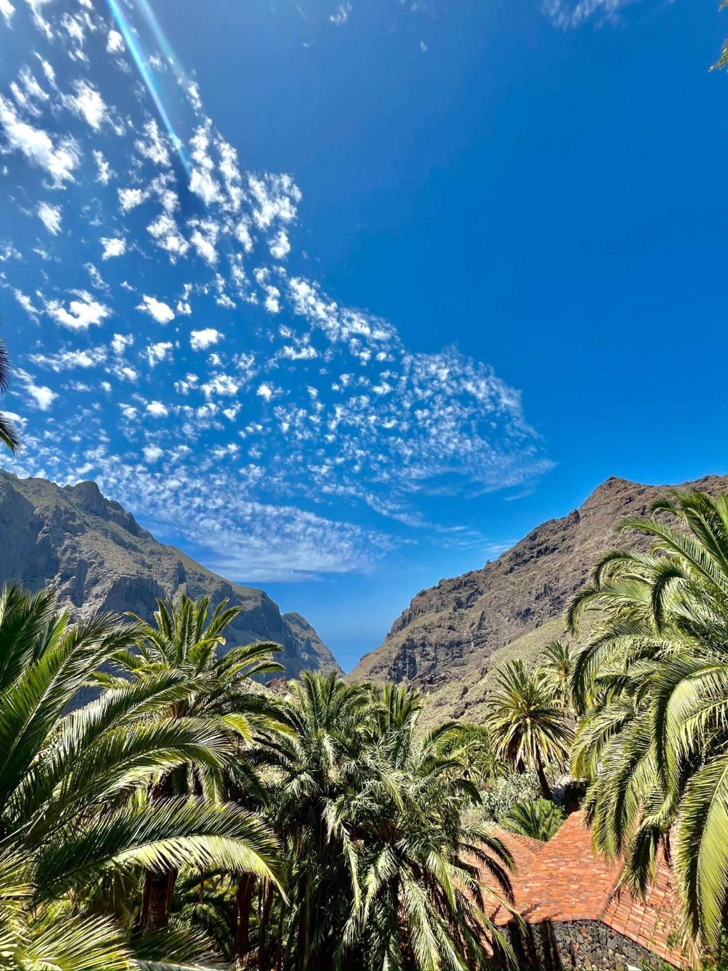Tenerife Playa La Arena Apartment *